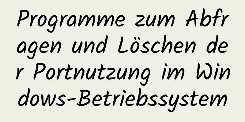 Programme zum Abfragen und Löschen der Portnutzung im Windows-Betriebssystem