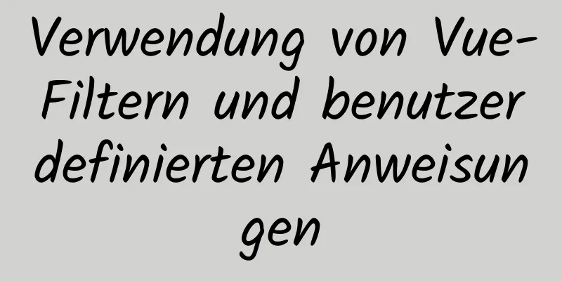 Verwendung von Vue-Filtern und benutzerdefinierten Anweisungen