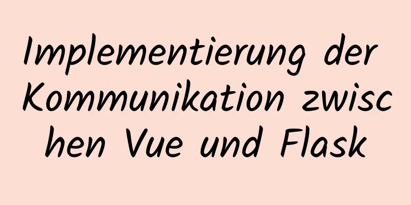 Implementierung der Kommunikation zwischen Vue und Flask