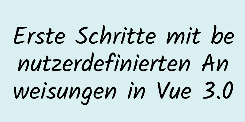 Erste Schritte mit benutzerdefinierten Anweisungen in Vue 3.0