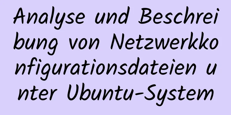 Analyse und Beschreibung von Netzwerkkonfigurationsdateien unter Ubuntu-System