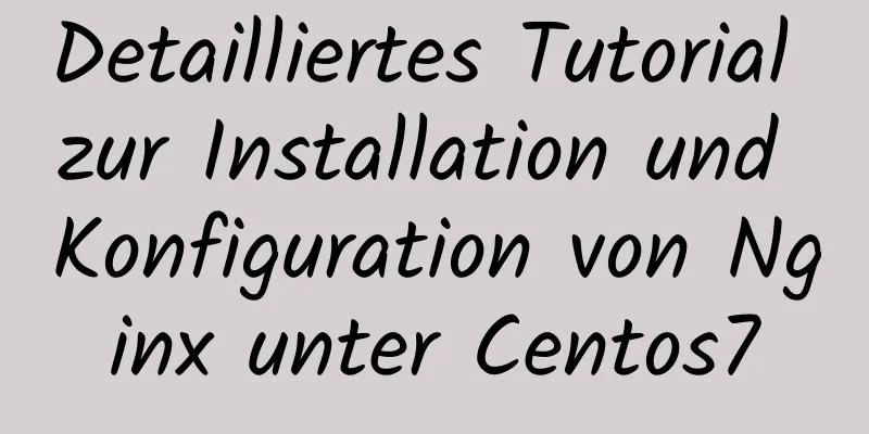 Detailliertes Tutorial zur Installation und Konfiguration von Nginx unter Centos7