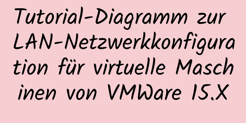 Tutorial-Diagramm zur LAN-Netzwerkkonfiguration für virtuelle Maschinen von VMWare 15.X