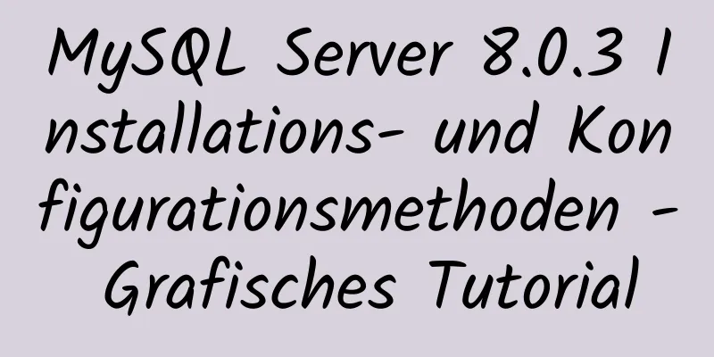 MySQL Server 8.0.3 Installations- und Konfigurationsmethoden - Grafisches Tutorial