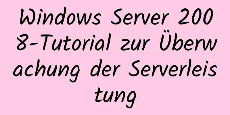 Windows Server 2008-Tutorial zur Überwachung der Serverleistung