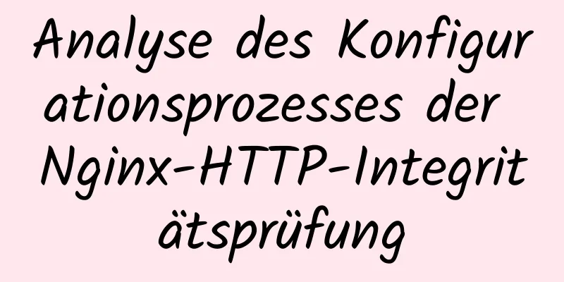 Analyse des Konfigurationsprozesses der Nginx-HTTP-Integritätsprüfung