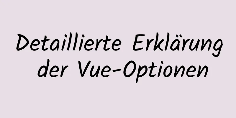 Detaillierte Erklärung der Vue-Optionen