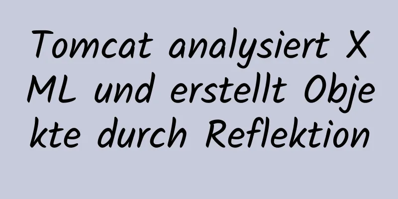 Tomcat analysiert XML und erstellt Objekte durch Reflektion