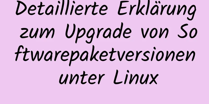 Detaillierte Erklärung zum Upgrade von Softwarepaketversionen unter Linux