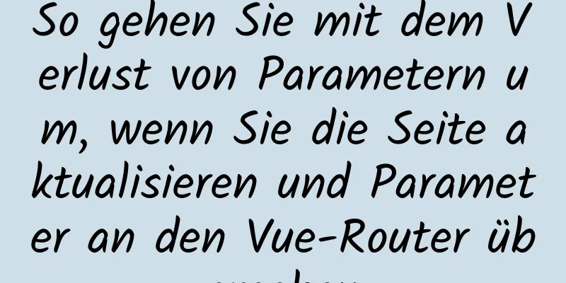 So gehen Sie mit dem Verlust von Parametern um, wenn Sie die Seite aktualisieren und Parameter an den Vue-Router übergeben