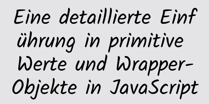 Eine detaillierte Einführung in primitive Werte und Wrapper-Objekte in JavaScript