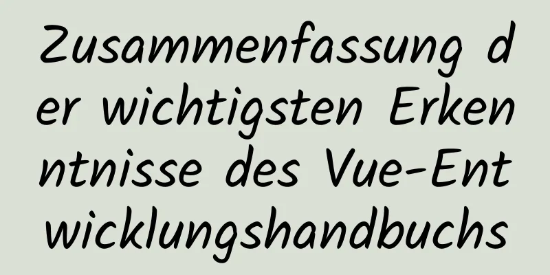 Zusammenfassung der wichtigsten Erkenntnisse des Vue-Entwicklungshandbuchs