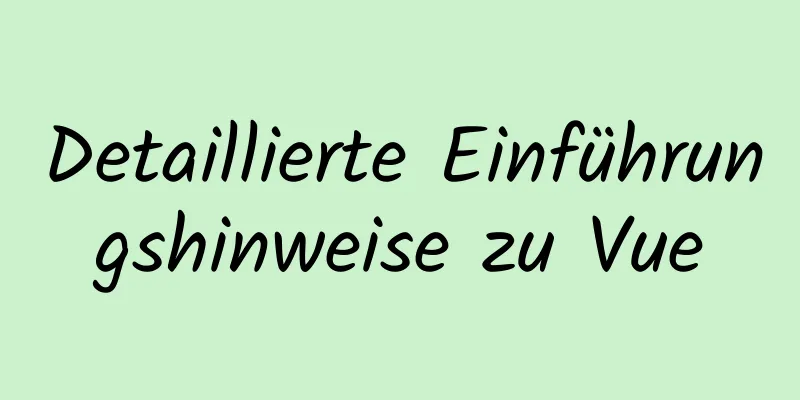 Detaillierte Einführungshinweise zu Vue