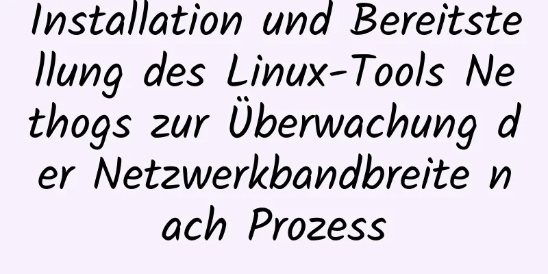 Installation und Bereitstellung des Linux-Tools Nethogs zur Überwachung der Netzwerkbandbreite nach Prozess