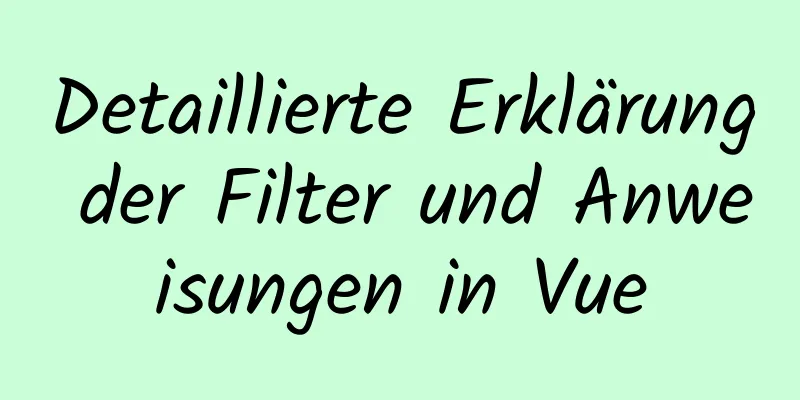 Detaillierte Erklärung der Filter und Anweisungen in Vue