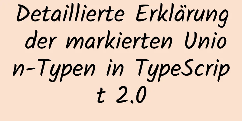 Detaillierte Erklärung der markierten Union-Typen in TypeScript 2.0