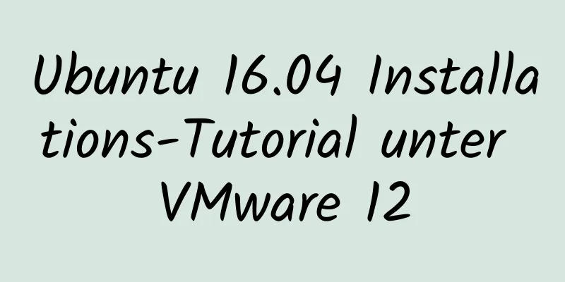 Ubuntu 16.04 Installations-Tutorial unter VMware 12