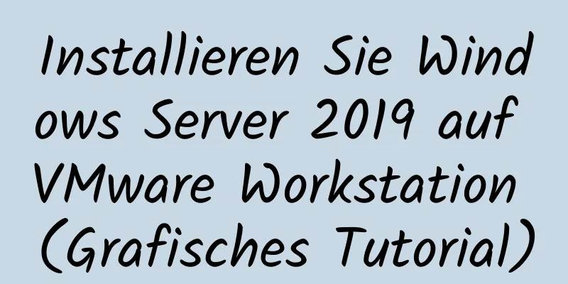 Installieren Sie Windows Server 2019 auf VMware Workstation (Grafisches Tutorial)