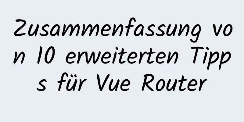 Zusammenfassung von 10 erweiterten Tipps für Vue Router