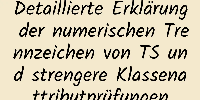 Detaillierte Erklärung der numerischen Trennzeichen von TS und strengere Klassenattributprüfungen