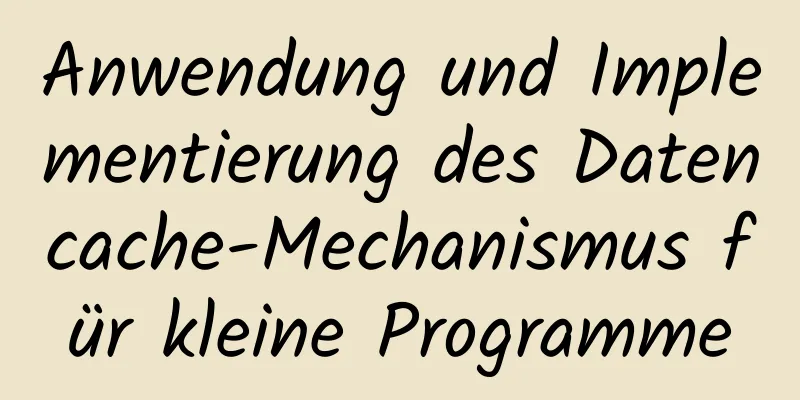 Anwendung und Implementierung des Datencache-Mechanismus für kleine Programme