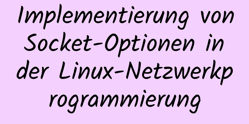 Implementierung von Socket-Optionen in der Linux-Netzwerkprogrammierung