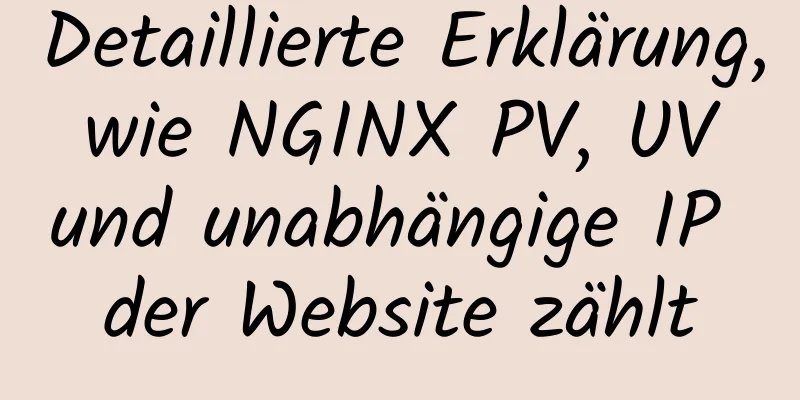 Detaillierte Erklärung, wie NGINX PV, UV und unabhängige IP der Website zählt