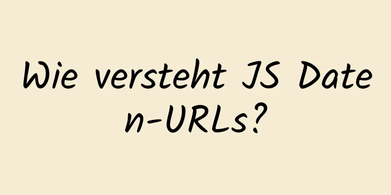 Wie versteht JS Daten-URLs?