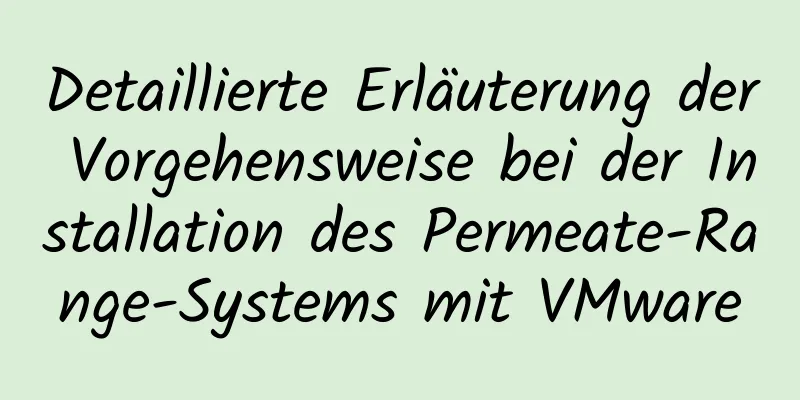 Detaillierte Erläuterung der Vorgehensweise bei der Installation des Permeate-Range-Systems mit VMware