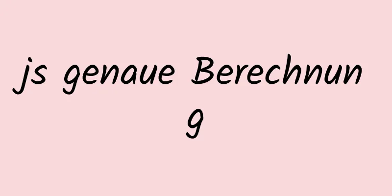 js genaue Berechnung