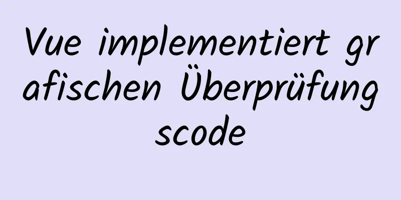 Vue implementiert grafischen Überprüfungscode