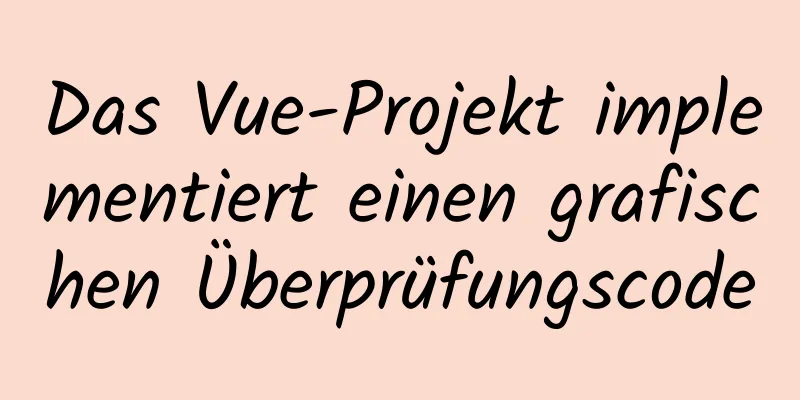 Das Vue-Projekt implementiert einen grafischen Überprüfungscode