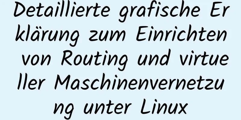 Detaillierte grafische Erklärung zum Einrichten von Routing und virtueller Maschinenvernetzung unter Linux