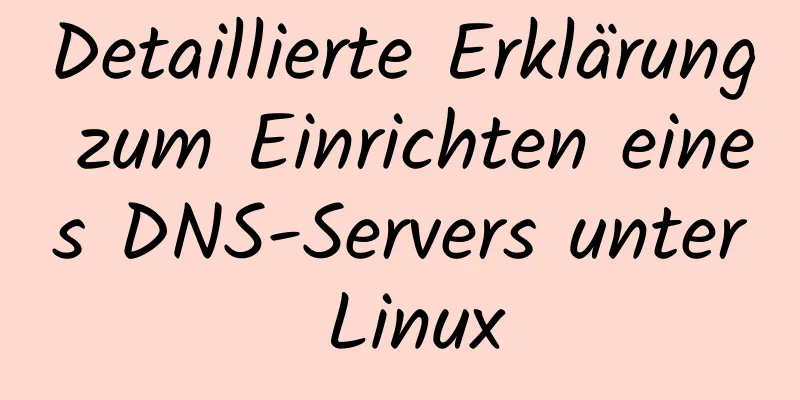 Detaillierte Erklärung zum Einrichten eines DNS-Servers unter Linux