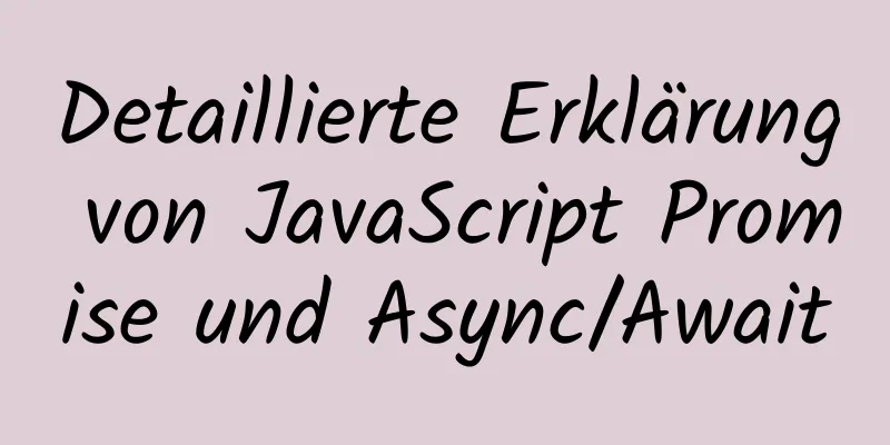 Detaillierte Erklärung von JavaScript Promise und Async/Await