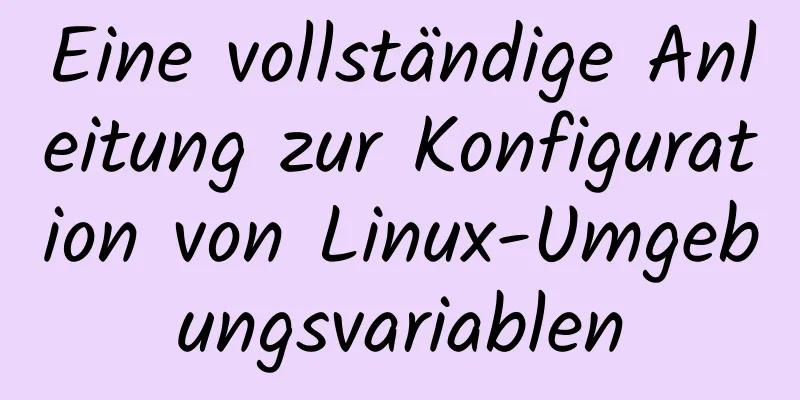 Eine vollständige Anleitung zur Konfiguration von Linux-Umgebungsvariablen