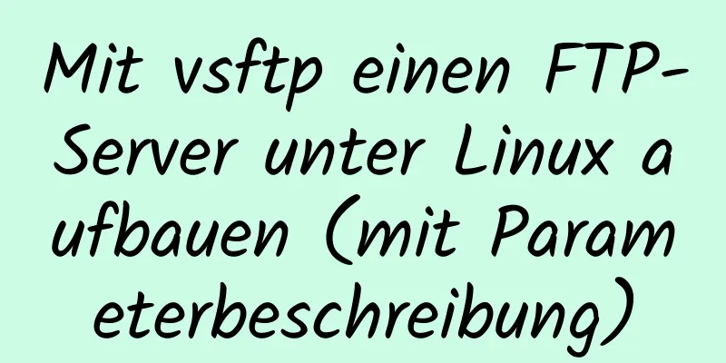 Mit vsftp einen FTP-Server unter Linux aufbauen (mit Parameterbeschreibung)