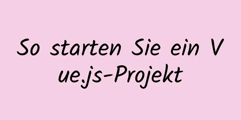 So starten Sie ein Vue.js-Projekt