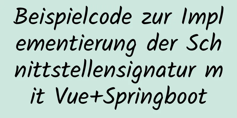 Beispielcode zur Implementierung der Schnittstellensignatur mit Vue+Springboot