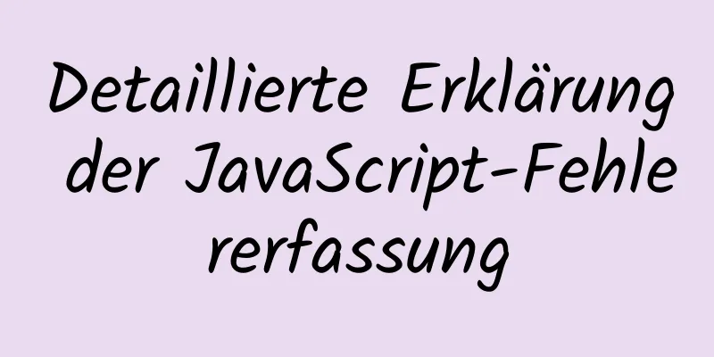 Detaillierte Erklärung der JavaScript-Fehlererfassung