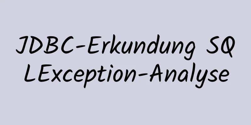 JDBC-Erkundung SQLException-Analyse