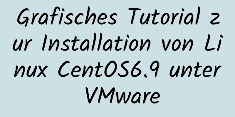 Grafisches Tutorial zur Installation von Linux CentOS6.9 unter VMware