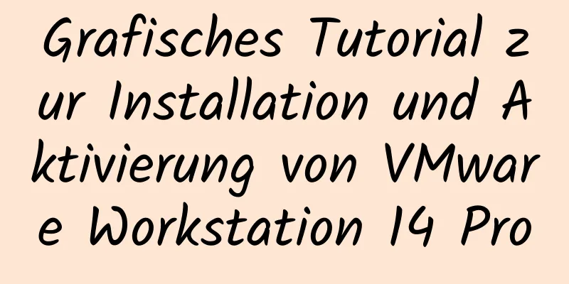 Grafisches Tutorial zur Installation und Aktivierung von VMware Workstation 14 Pro