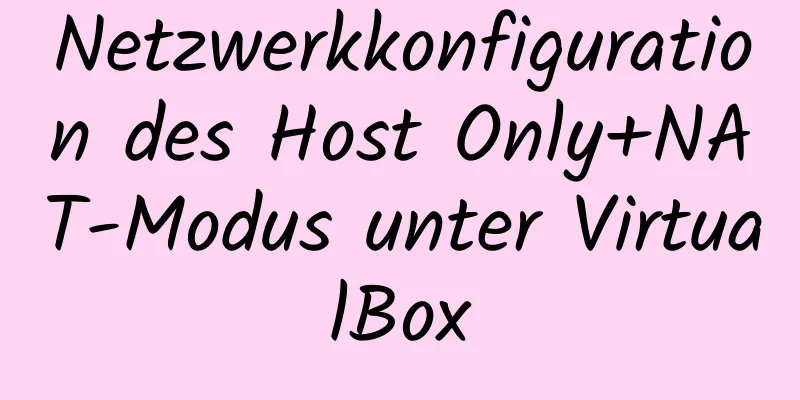 Netzwerkkonfiguration des Host Only+NAT-Modus unter VirtualBox