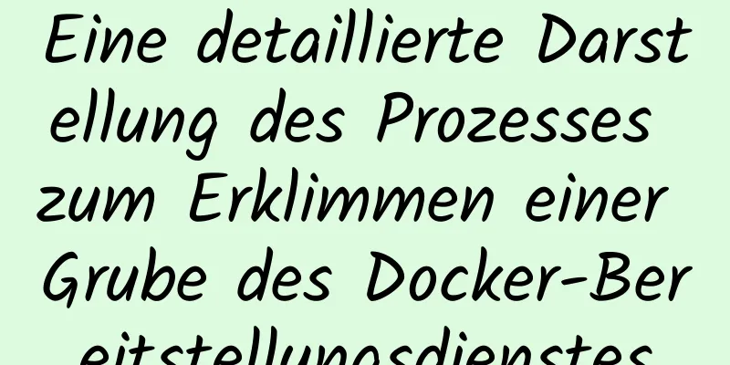 Eine detaillierte Darstellung des Prozesses zum Erklimmen einer Grube des Docker-Bereitstellungsdienstes