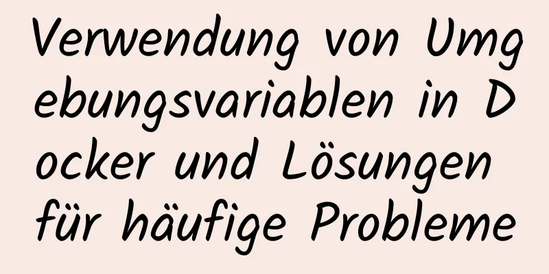 Verwendung von Umgebungsvariablen in Docker und Lösungen für häufige Probleme