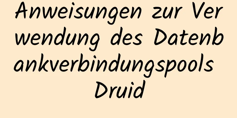 Anweisungen zur Verwendung des Datenbankverbindungspools Druid