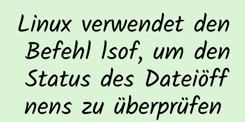 Linux verwendet den Befehl lsof, um den Status des Dateiöffnens zu überprüfen