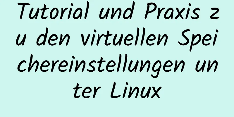 Tutorial und Praxis zu den virtuellen Speichereinstellungen unter Linux