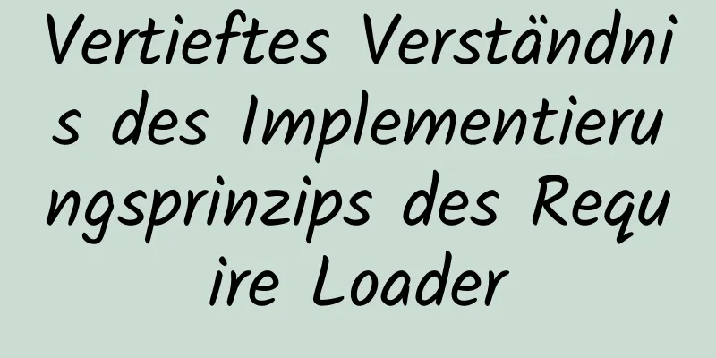 Vertieftes Verständnis des Implementierungsprinzips des Require Loader